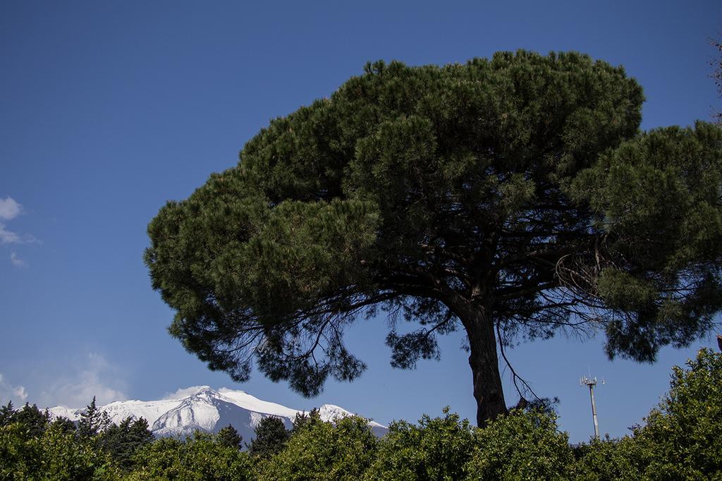 Il Melograno Βίλα San Leonardello Εξωτερικό φωτογραφία