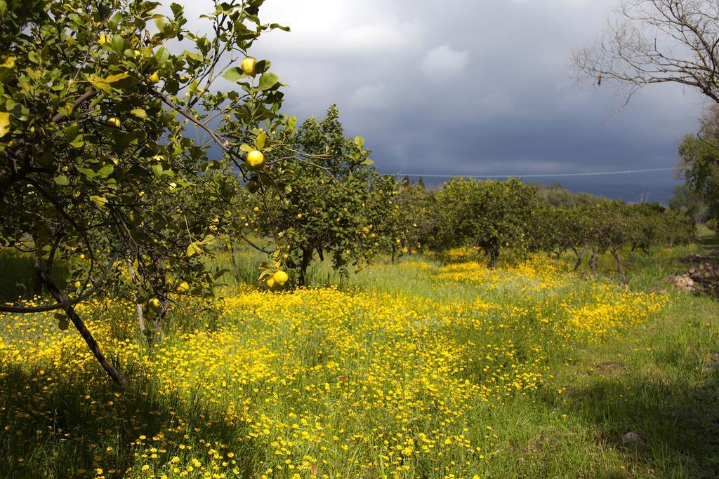 Il Melograno Βίλα San Leonardello Εξωτερικό φωτογραφία