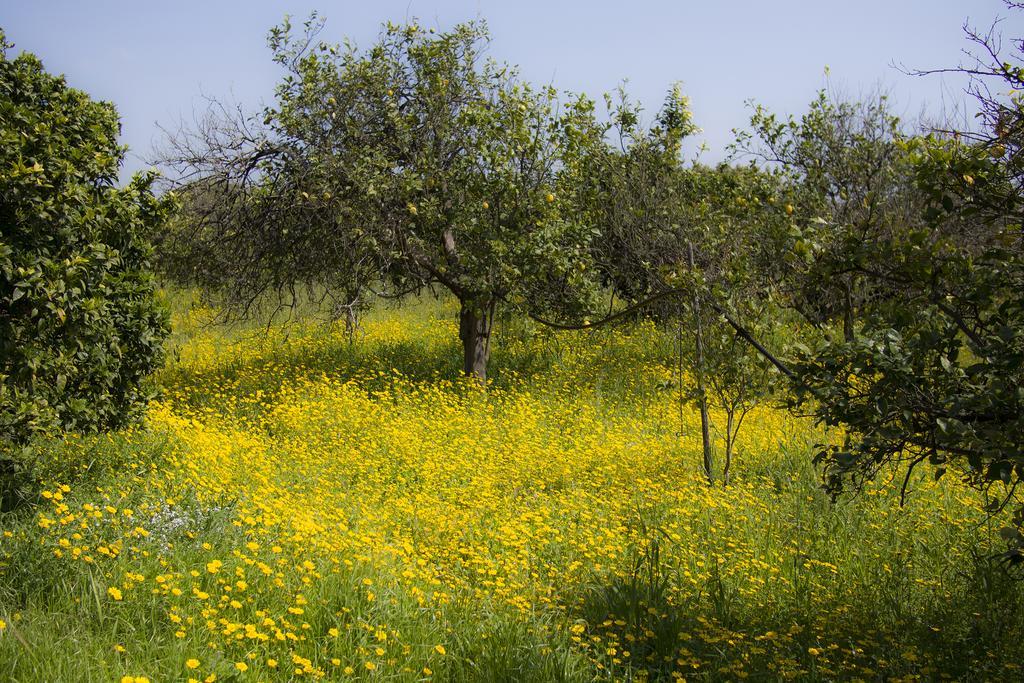 Il Melograno Βίλα San Leonardello Εξωτερικό φωτογραφία